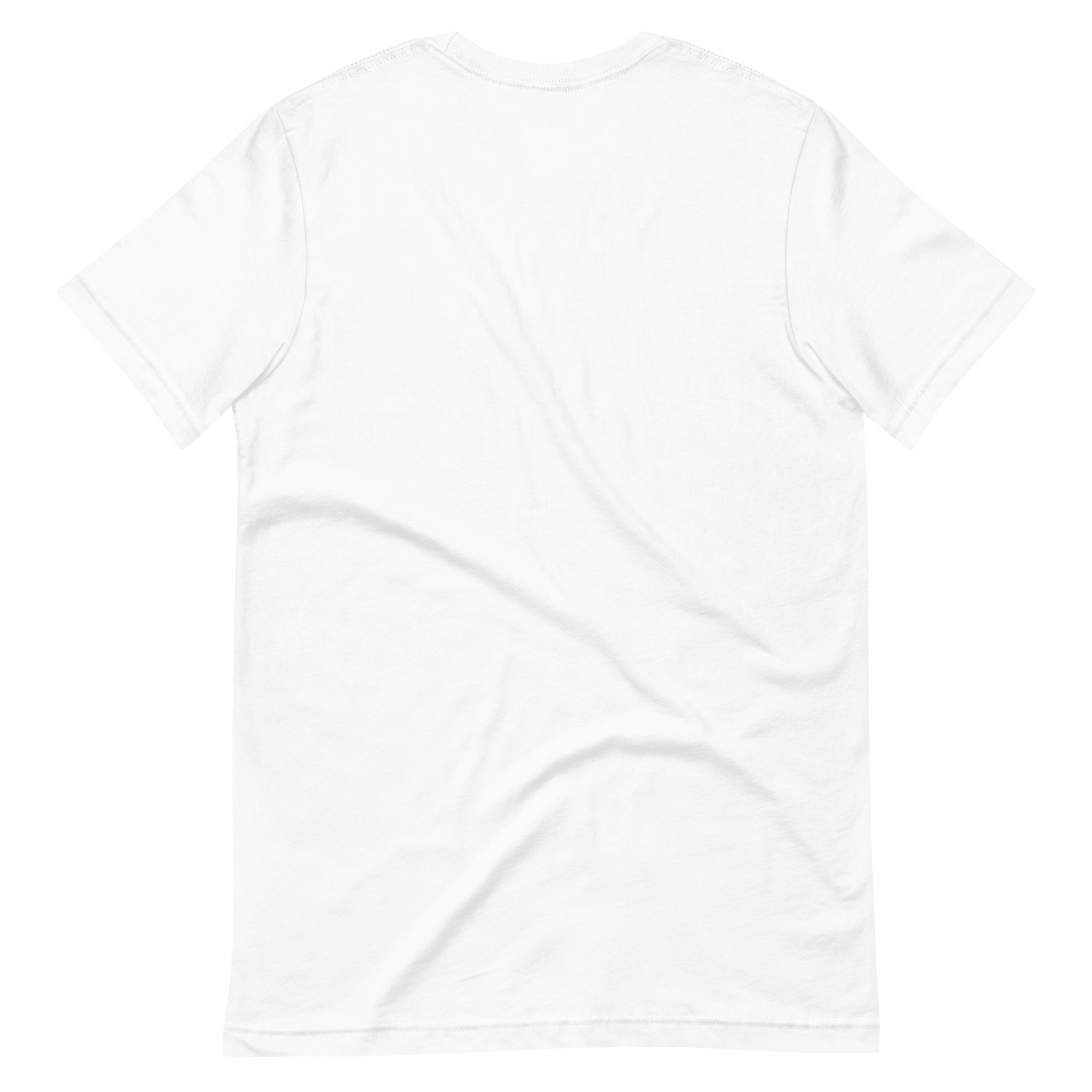Urban Street (Unisex t-shirt0 - Image 2