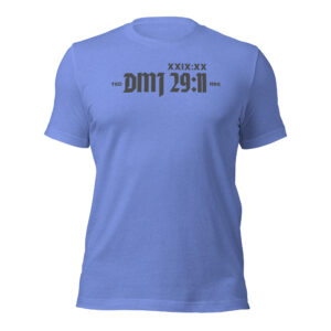Avow DMJ 29:11 2 (Unisex t-shirt)
