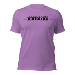 Jermian 29:11 Light (Unisex t-shirt)